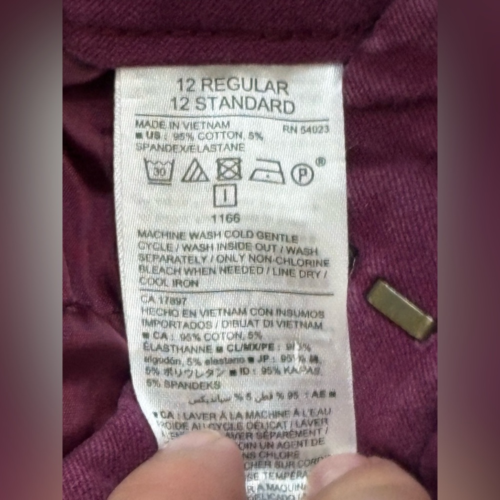 Maroon Pixie Pants - image 4